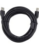 Gembird CCF2-USB2-AMBM-6