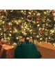 Елка WINTER GLADE Подставка под живую елку BIG TREE PREMIUM (12)