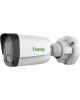 TIANDY Камера видеонаблюдения IP TC-C34QN I5W/WIFI/Eu/2.8mm/V4.0 Wi-Fi 2.8-2.8мм цв. корп.:белый (TC-C34QN I5W/WIFI/EU/2.8/V4.0)