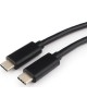 Cablexpert CCP-USB3.1-CMCM2-1M