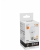 GAUSS Упаковка ламп LED E27, груша, 12Вт, 10 шт. [23212]