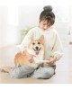 Триммер для собак и кошек PAWBBY Pet Small Area Clippers (MG-FP001A-EU)