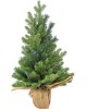 ЕЛЬ ROYAL CHRISTMAS ROYAL CHRISTMAS Ель Spitsbergen PE/ PVC Table — 90 см 977090 977090