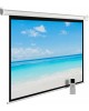 CACTUS Экран 225x300см MotoExpert CS-PSME-300x225-WT 4:3 настенно-потолочный рулонный белый (моторизованный привод)