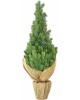 ЕЛЬ ROYAL CHRISTMAS ROYAL CHRISTMAS Ель Spitsbergen PE/ PVC Table — 90 см 977090 977090