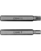 STELS Набор бит HEX, Torx , SPLine, хвостовик-шестигранник 1/2, CrV, 42 шт. 11318