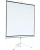 CACTUS Экран Motoscreen CS-PSM-152x203, 203х152 см, 4:3, настенно-потолочный